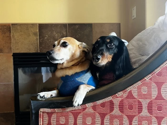 Gables Animal Clinic 12
