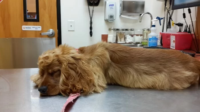 Banfield Pet Hospital 12