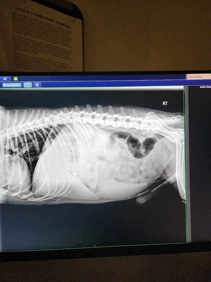 Banfield Pet Hospital 12