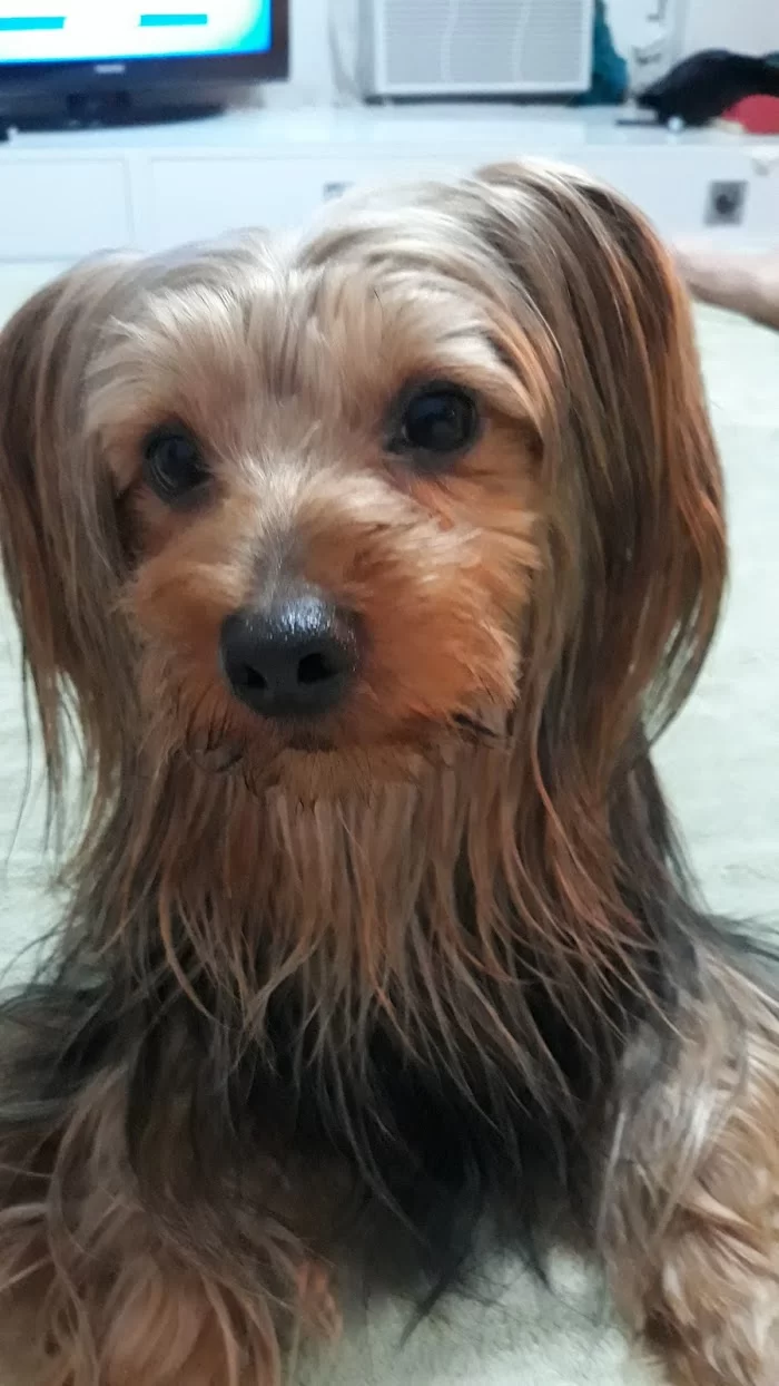 Banfield Pet Hospital 12