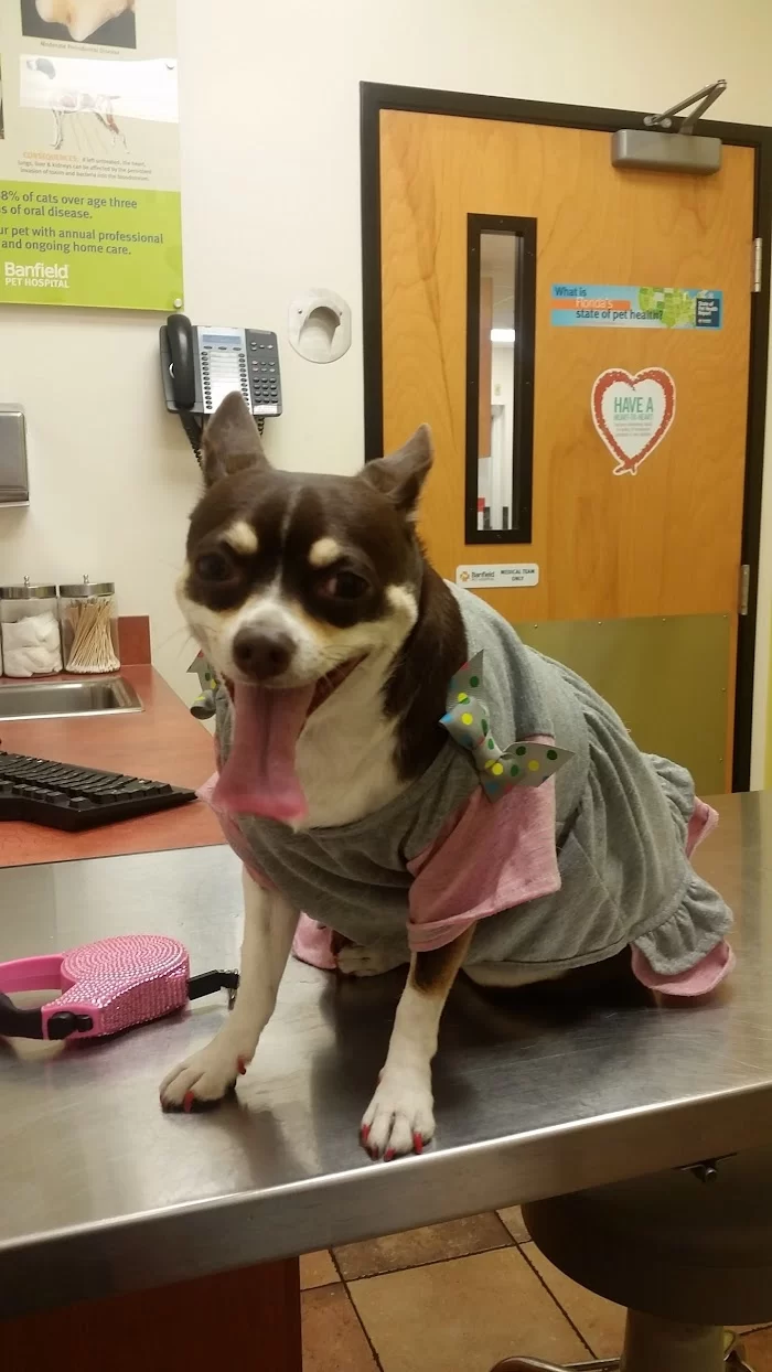 Banfield Pet Hospital 12