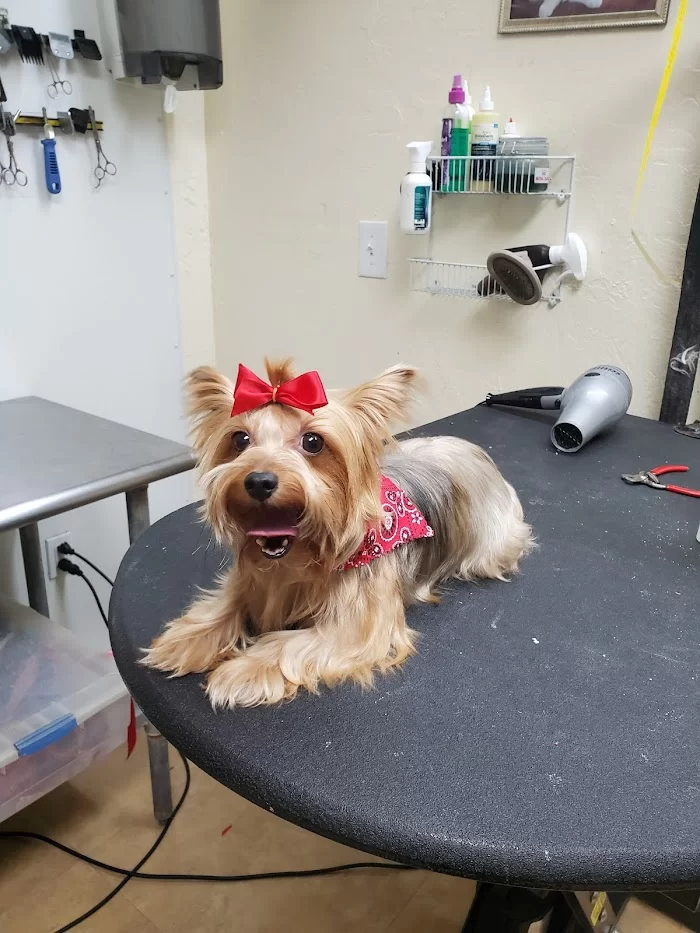 Parajon Animal Clinic 12