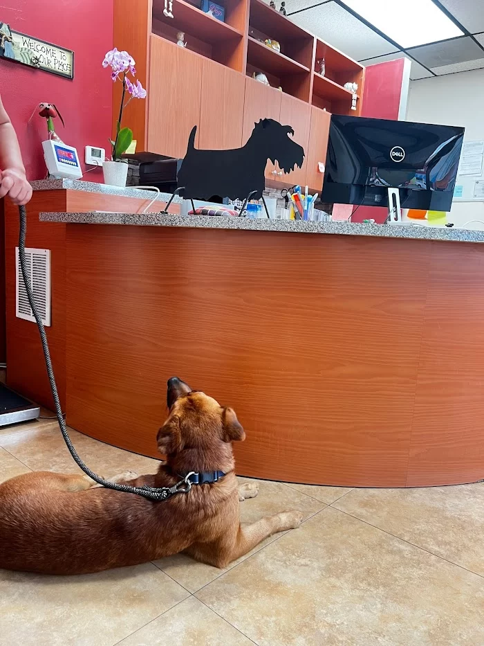 Parajon Animal Clinic 12