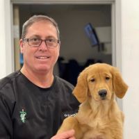 Santos Animal Clinic ico