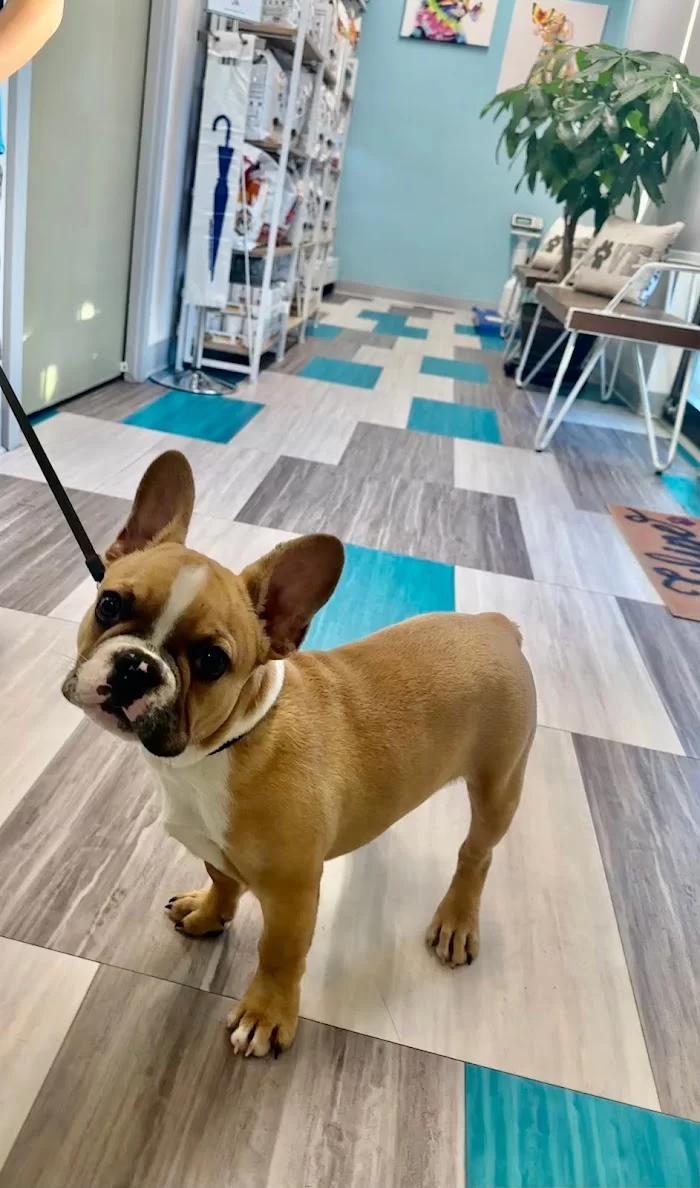 Santos Animal Clinic 12