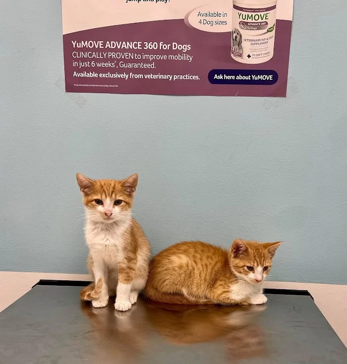 Santos Animal Clinic 12
