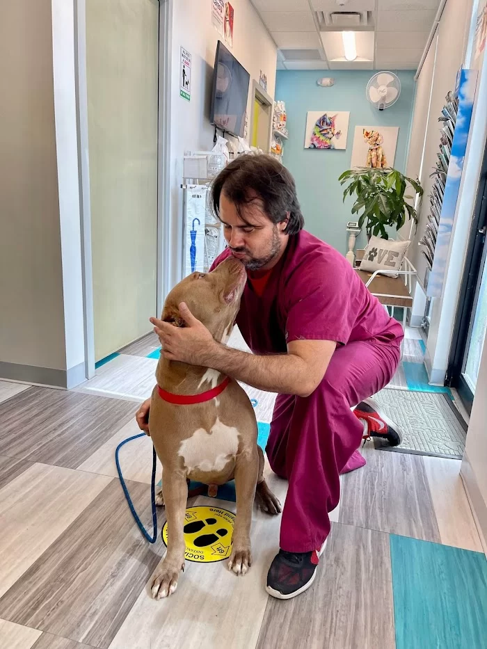 Santos Animal Clinic 12
