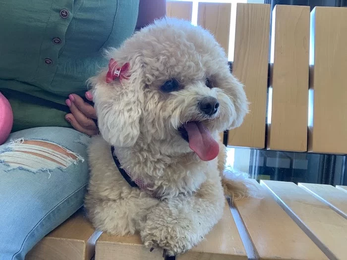 Banfield Pet Hospital 12