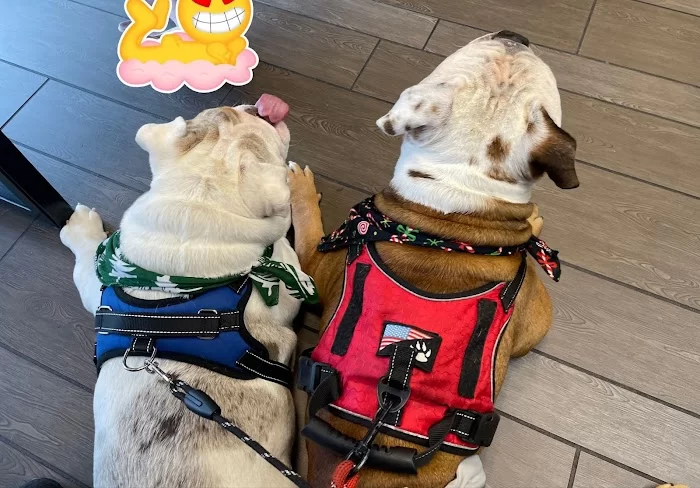 Banfield Pet Hospital 12