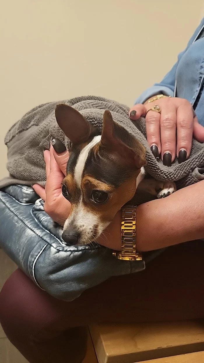 Banfield Pet Hospital 12