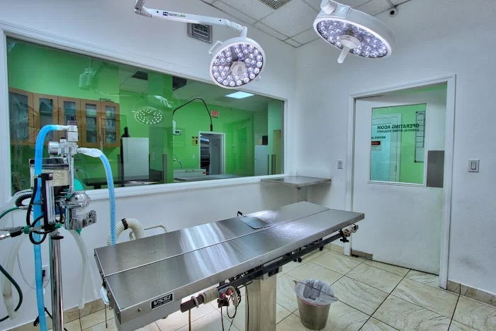 Animal Care and Surgical Hospital 12