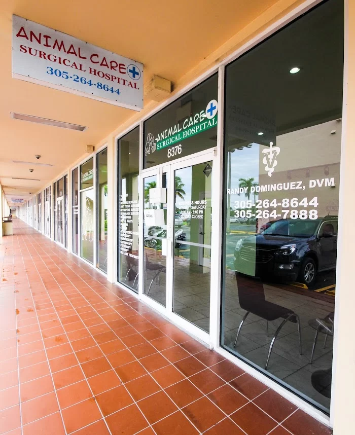 Animal Care and Surgical Hospital 12