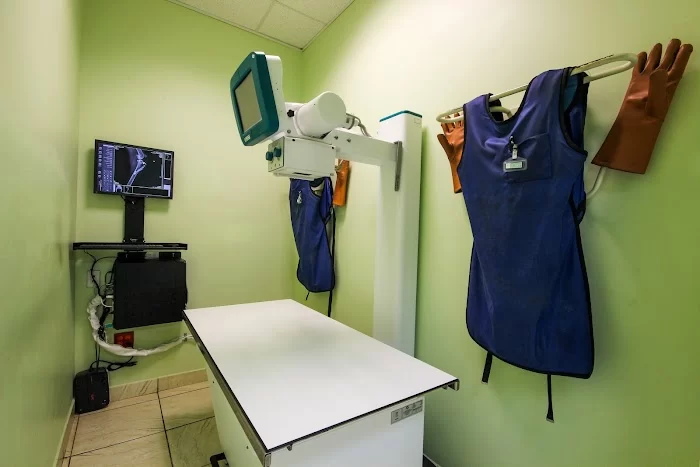 Animal Care and Surgical Hospital 12