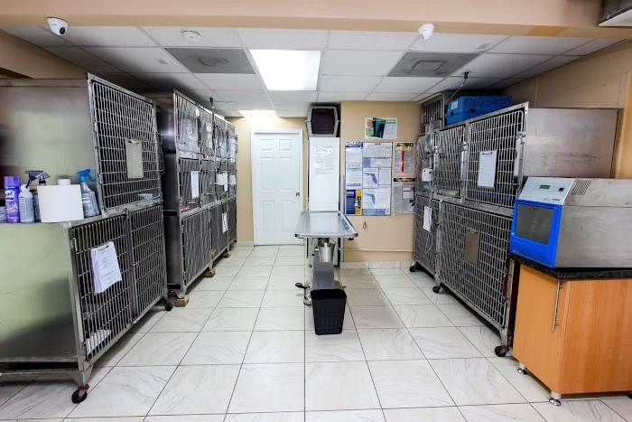 Animal Care and Surgical Hospital 12