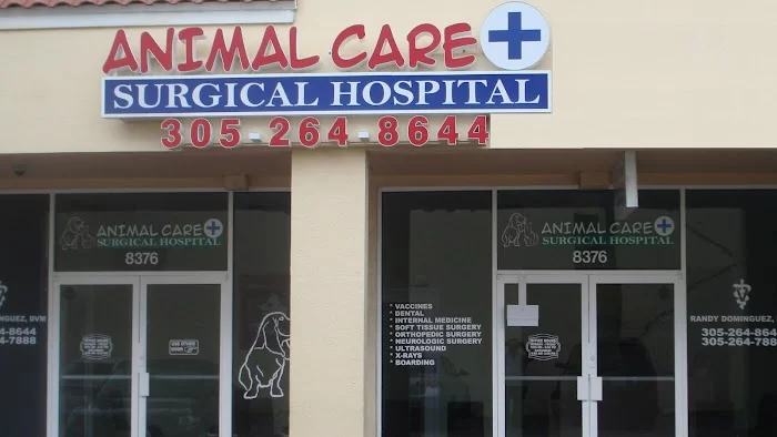 Animal Care and Surgical Hospital 12