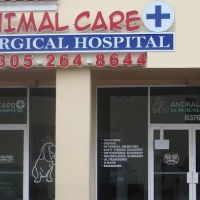Animal Care and Surgical Hospital ico