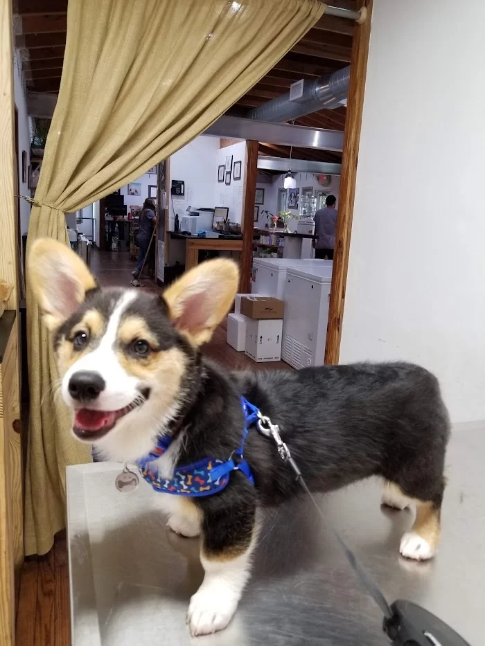 Silver Bluff Animal Clinic 5