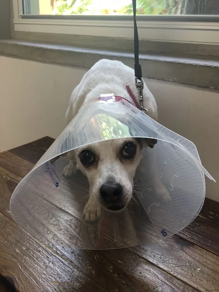 Silver Bluff Animal Clinic 6