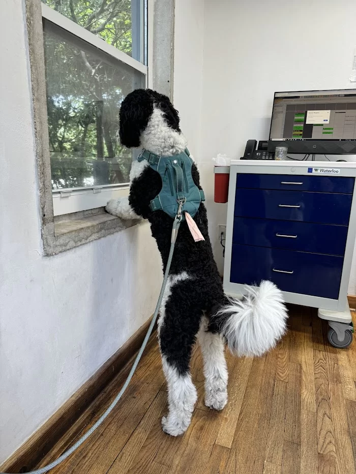 Silver Bluff Animal Clinic 8