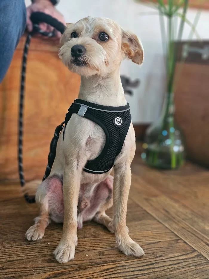 Silver Bluff Animal Clinic 7