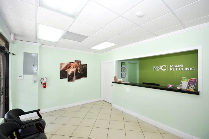 Miami Pet Clinic 12
