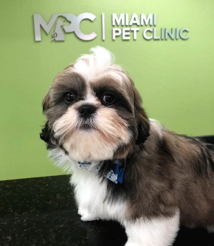 Miami Pet Clinic 12