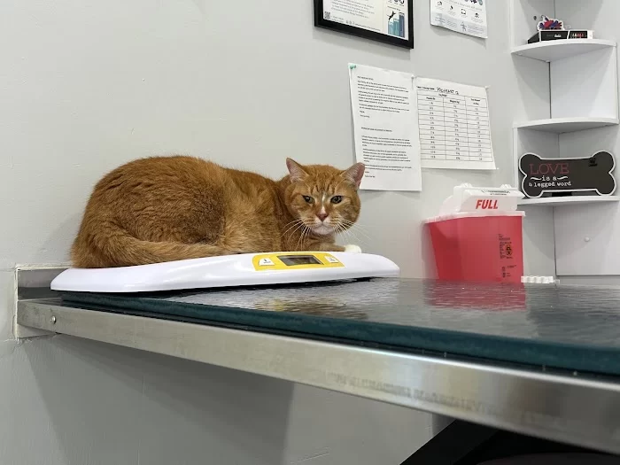 Coral Way Animal Clinic 12