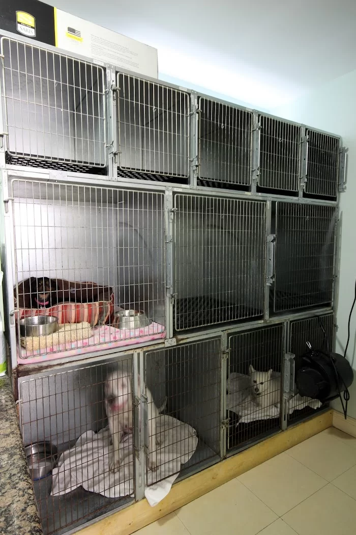 Coral Way Animal Clinic 12