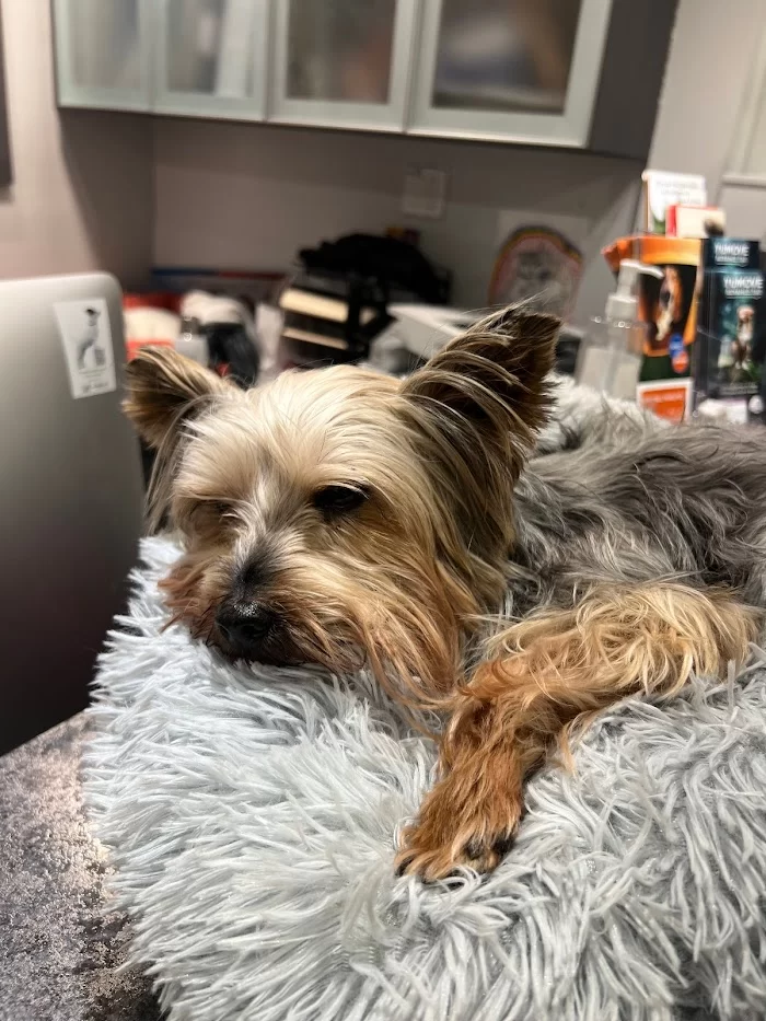Coral Way Animal Clinic 12