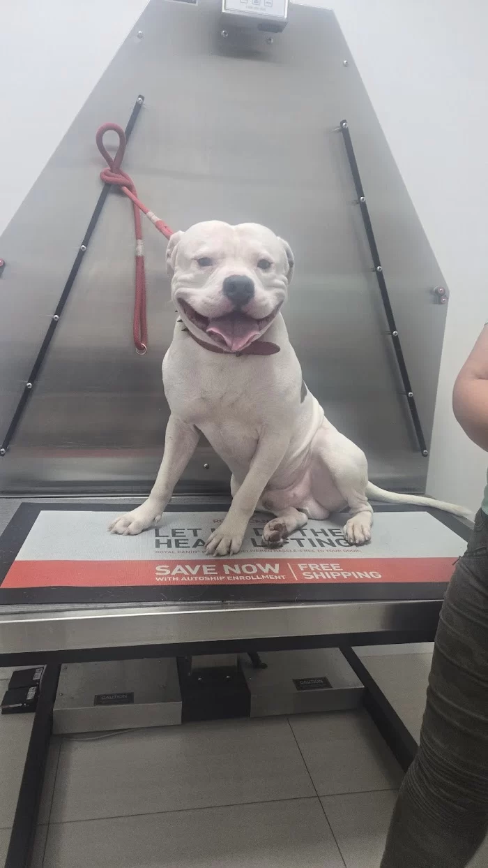 TLC Animal Clinic I 12