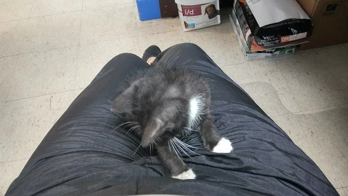 TLC Animal Clinic I 12