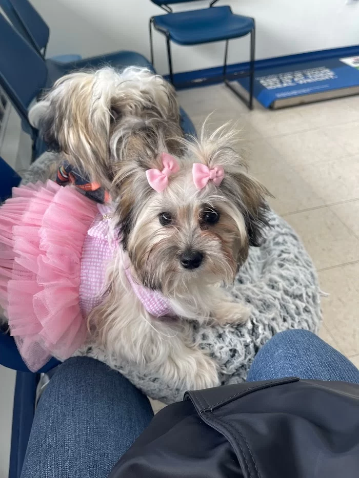TLC Animal Clinic I 12