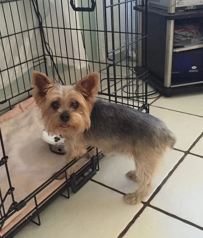 TLC Animal Clinic I 12