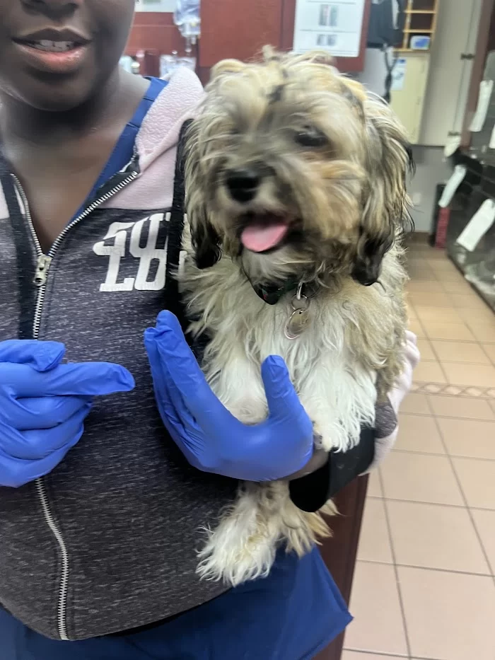 VCA Knowles Central Animal Hospital 4