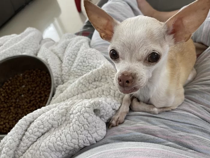 West Miami Animal Hospital 12