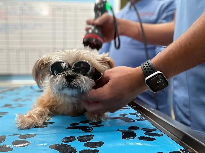 West Miami Animal Hospital 12