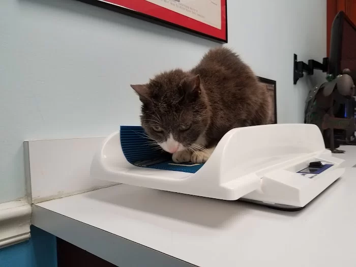 West Miami Animal Hospital 12