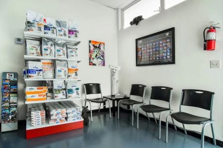 Pets & Vets Animal Clinic