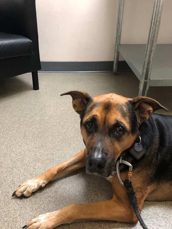 Banfield Pet Hospital 12