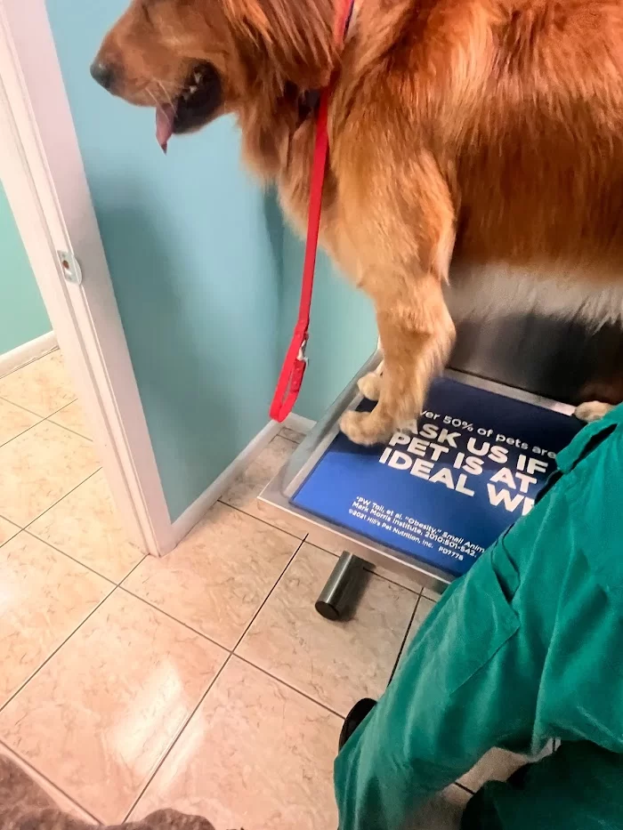 San Lazaro Animal Clinic 12