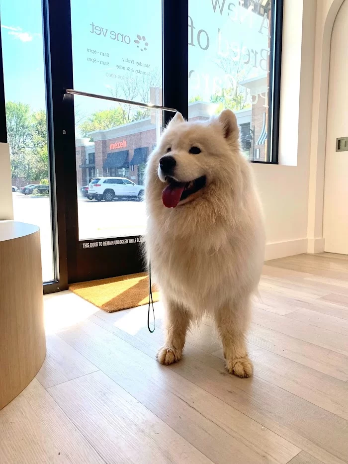 Petfolk Veterinary & Urgent Care - North Miami 10