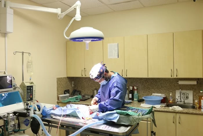 Carballo Animal Clinic 12