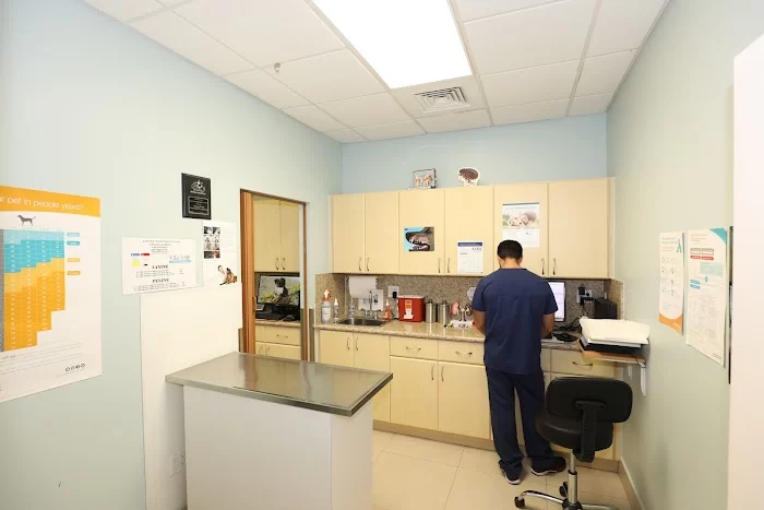 Carballo Animal Clinic 12