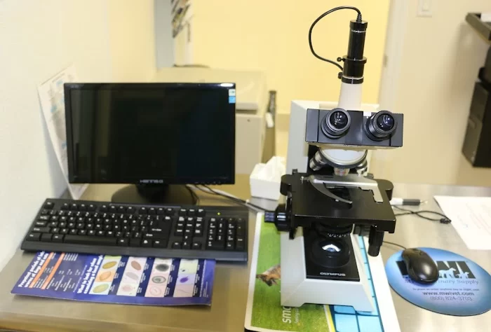 Carballo Animal Clinic 12