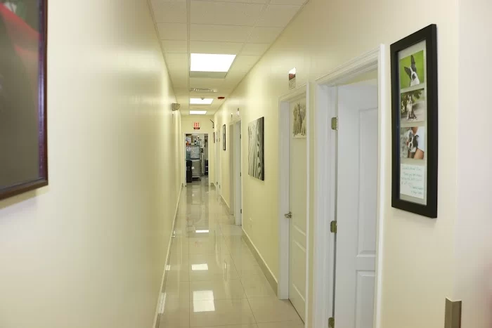 Carballo Animal Clinic 12