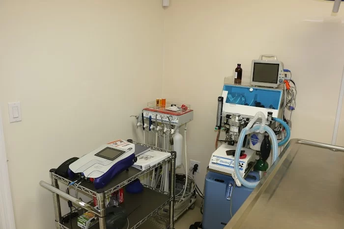 Carballo Animal Clinic 12