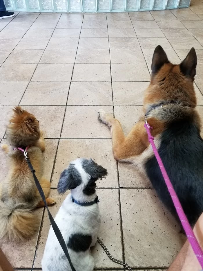 Arch Creek Animal Clinic 12
