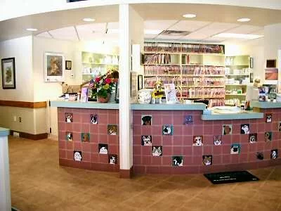 Bayshore Veterinary Clinic 12