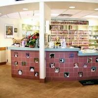Bayshore Veterinary Clinic ico