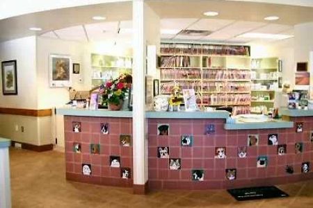 Bayshore Veterinary Clinic